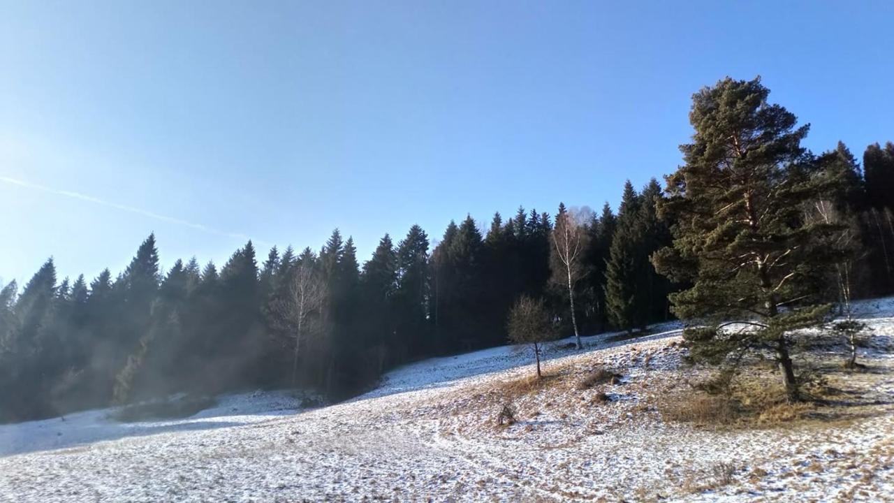 Villa Lesny Zaulek Muszyna Exterior foto
